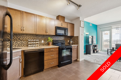 Beltline Apartment For Sale: Alura 2 Bed, 2 Bath, 800 sq ft